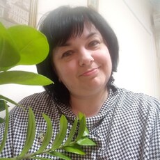 Лилия