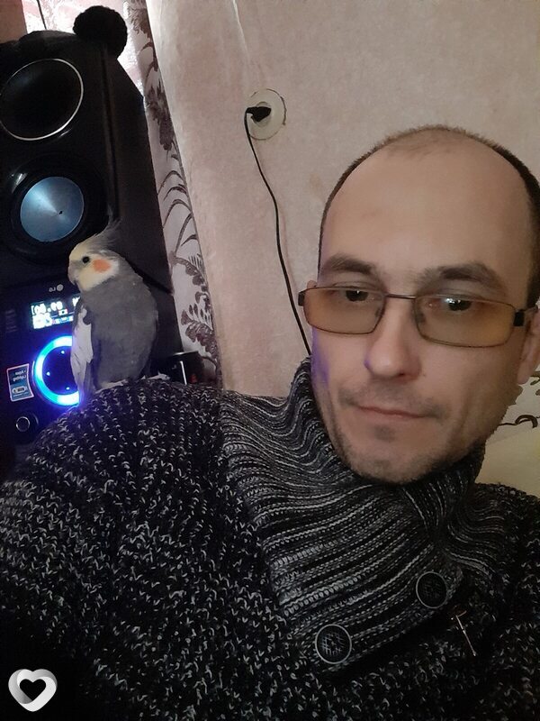 Платон