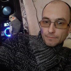 Платон