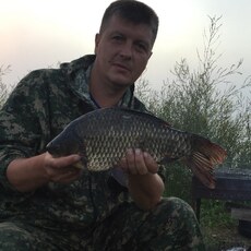 Донат