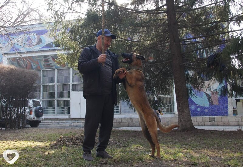 Матвей