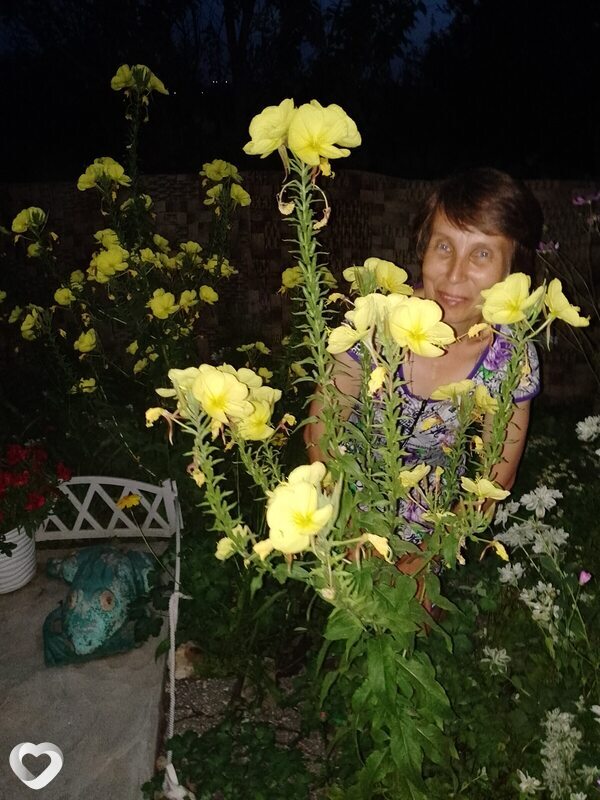 Маргарита