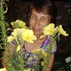 Маргарита
