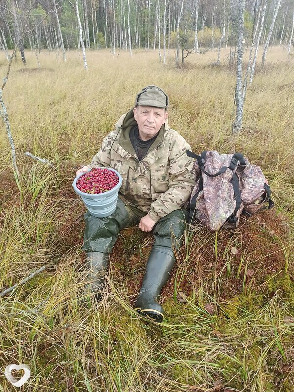 Паша