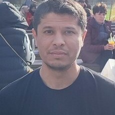 Альбик