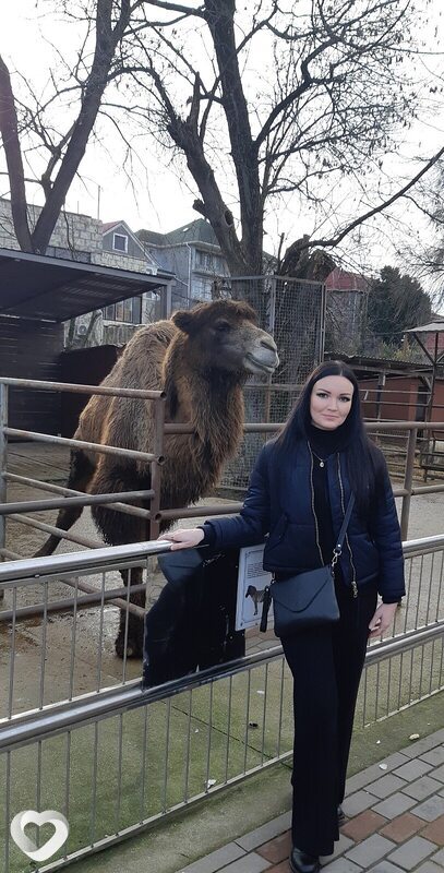 Снежа
