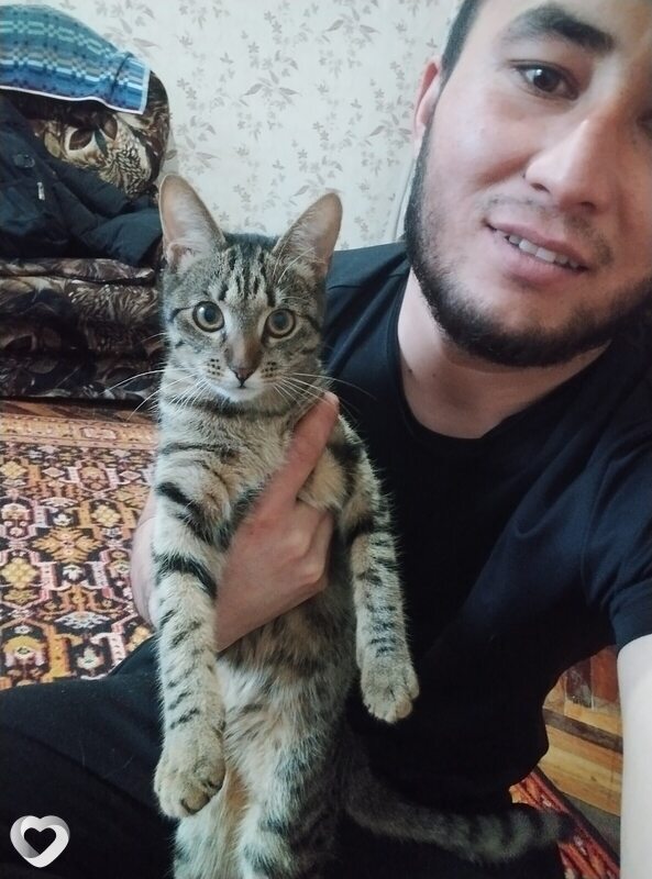 Вениамин