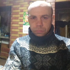 Всеволод