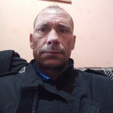 Всеволод