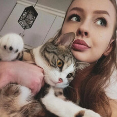 Снежа