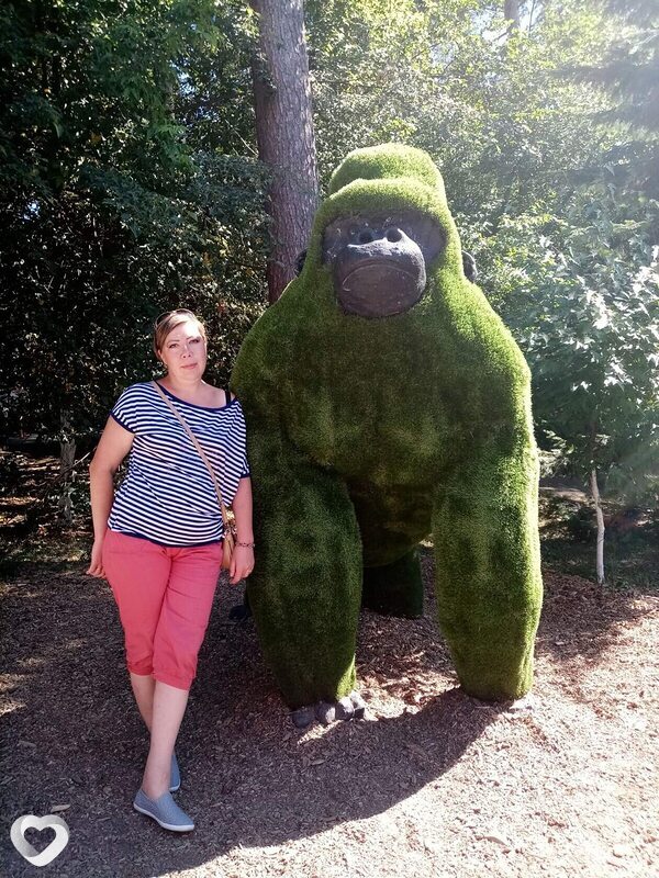 Флора