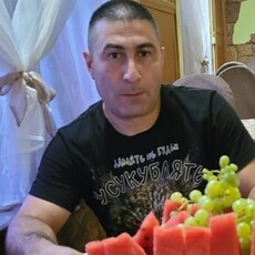 Лев