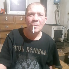 Платоша