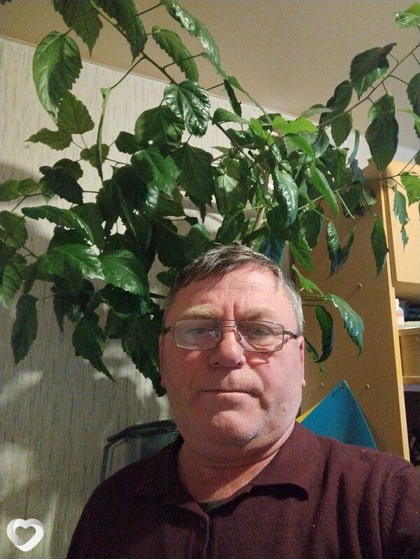 Гаврик