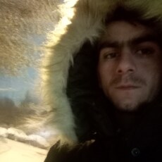Всеволод