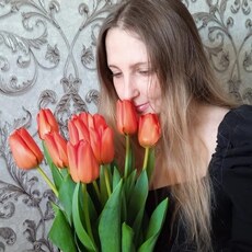 Поля