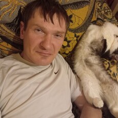 Альбик