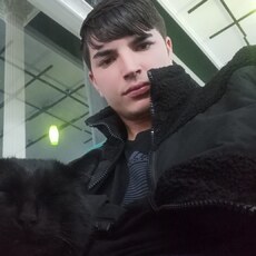 Демид