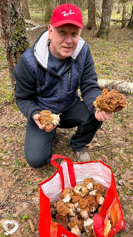 Платоша