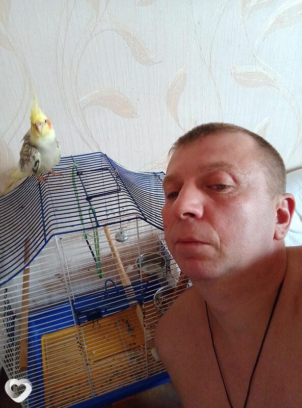 Сеня