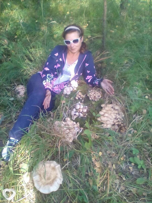 Вита