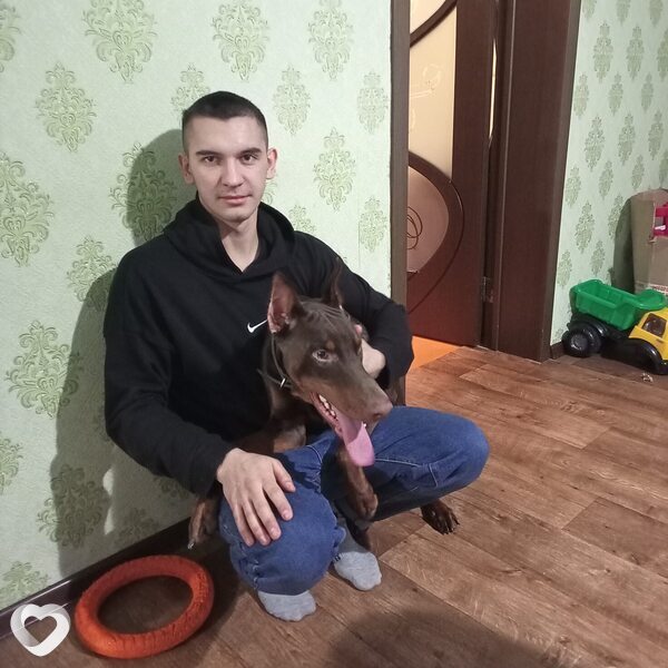 Кир