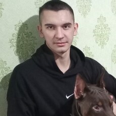 Миша
