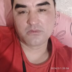Стёпа