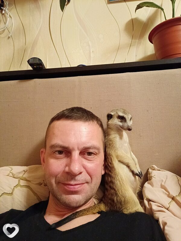 Всеволод