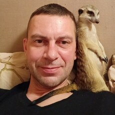 Всеволод