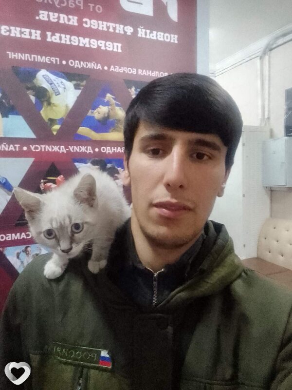 Ян