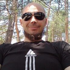 Лев