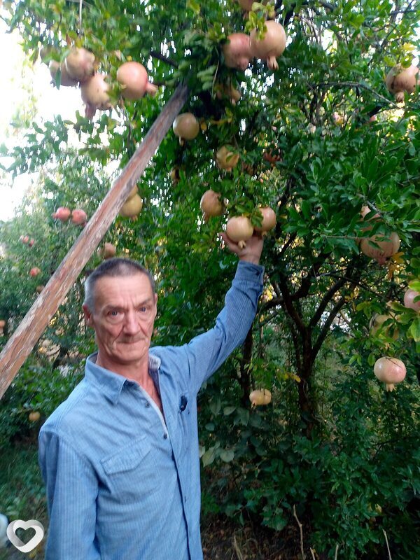 Савва