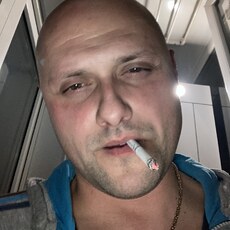 Всеволод