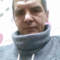 Лев