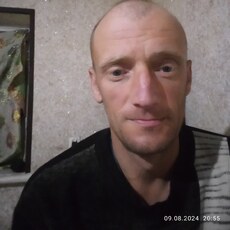 Давидик