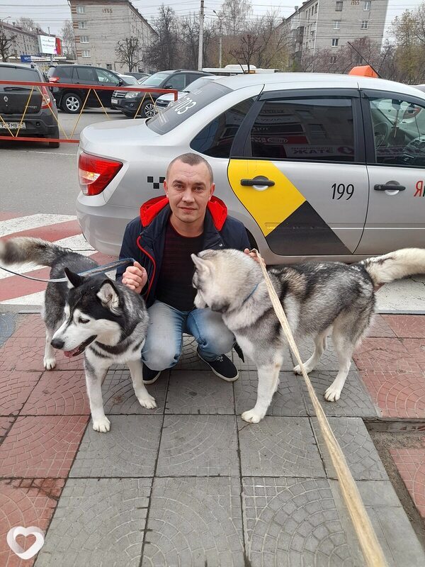 Вова