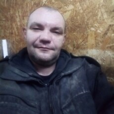 Всеволод