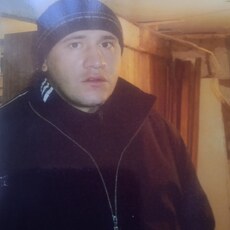 Лев