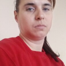 Роза