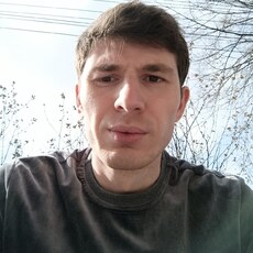 Гаврик