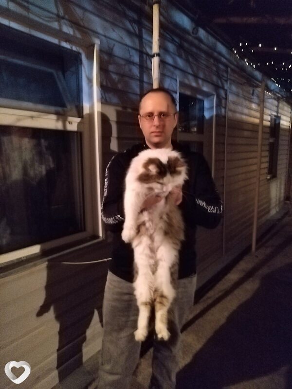 Аркадий