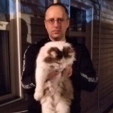 Аркадий