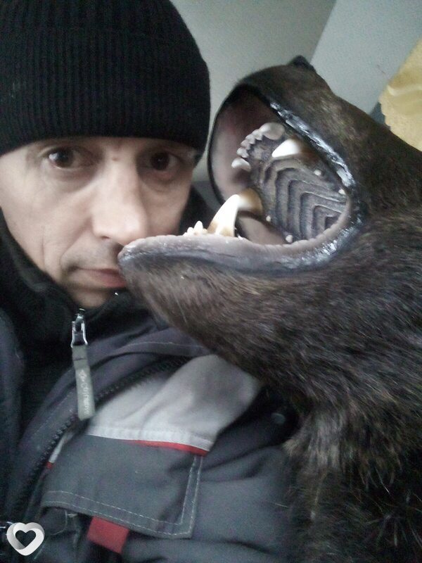 Мироша