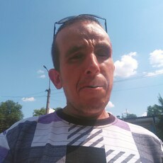 Тим