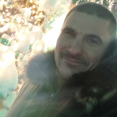 Гоша